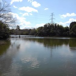 大安トラウトレイク 釣果